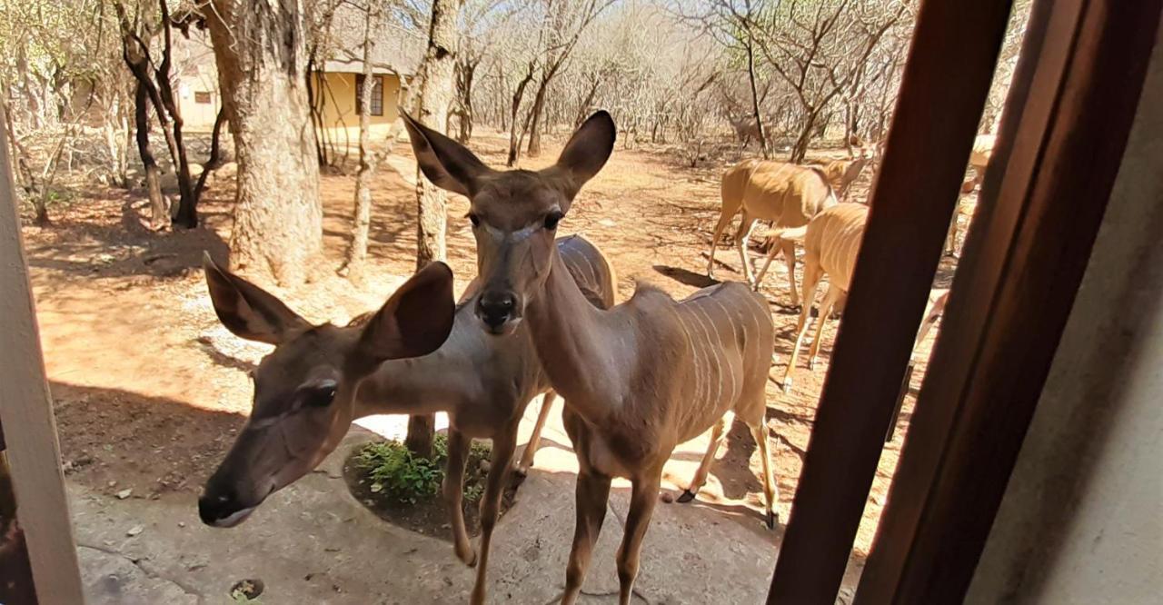 Kruger Private Lodge Marloth Park Zewnętrze zdjęcie