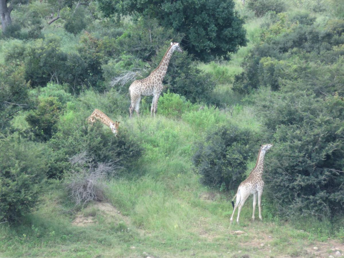 Kruger Private Lodge Marloth Park Zewnętrze zdjęcie