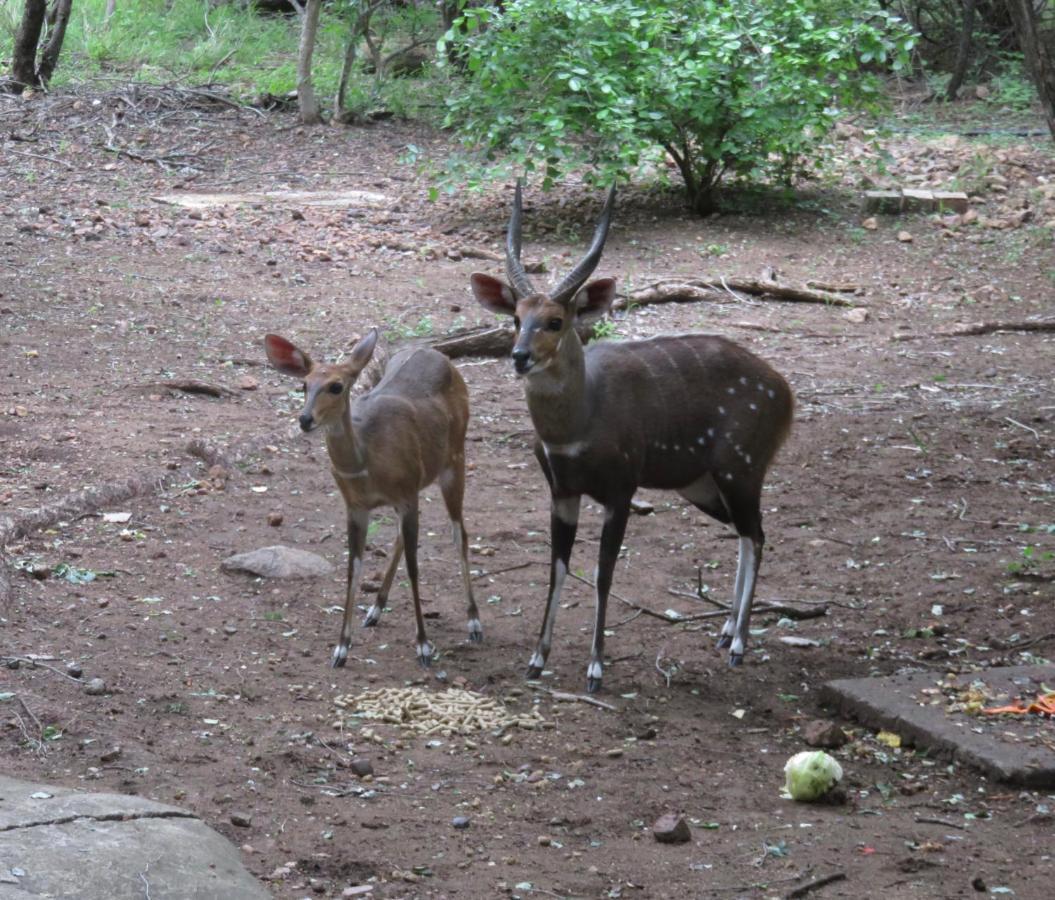 Kruger Private Lodge Marloth Park Zewnętrze zdjęcie