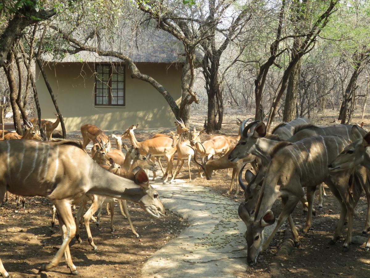 Kruger Private Lodge Marloth Park Zewnętrze zdjęcie