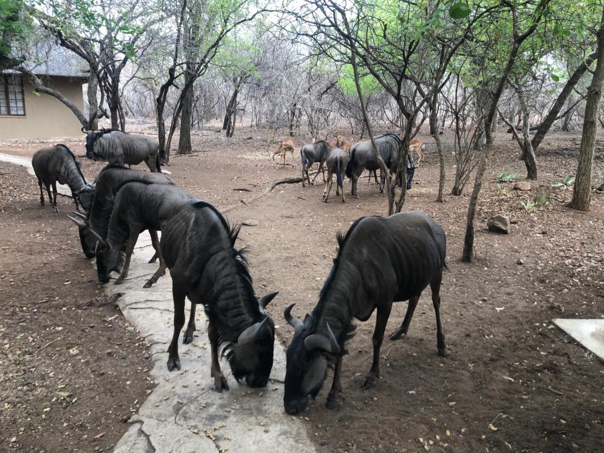 Kruger Private Lodge Marloth Park Zewnętrze zdjęcie