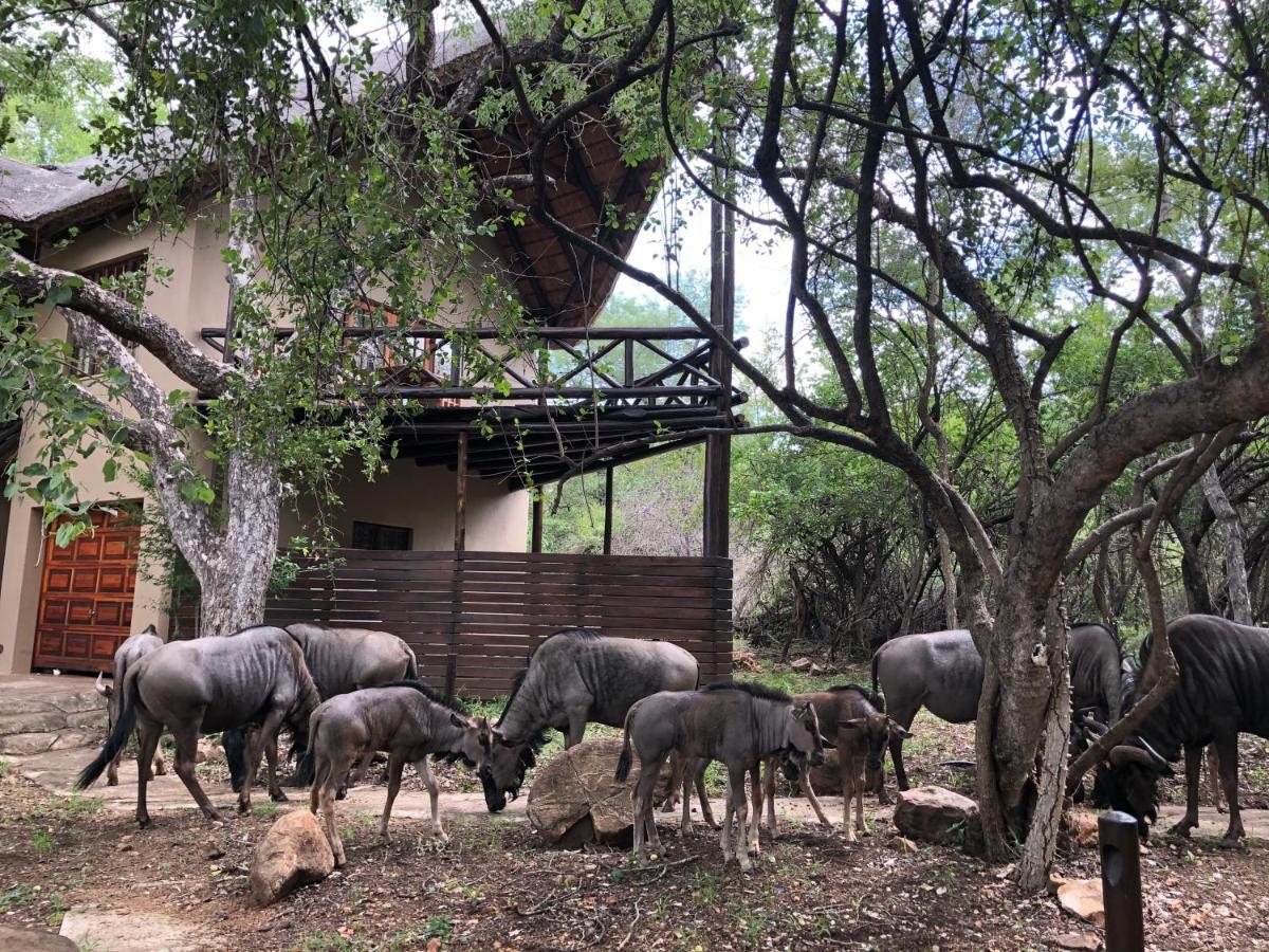 Kruger Private Lodge Marloth Park Zewnętrze zdjęcie