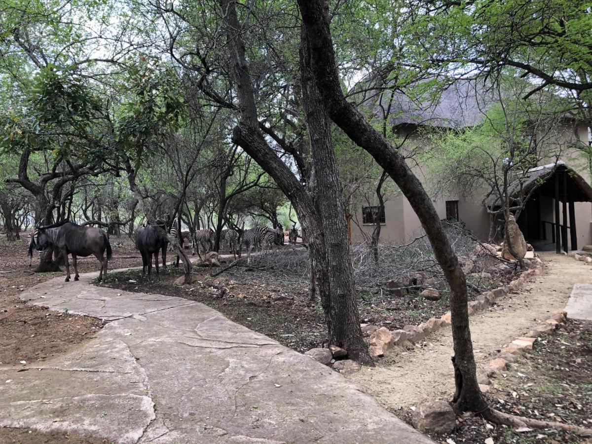 Kruger Private Lodge Marloth Park Zewnętrze zdjęcie