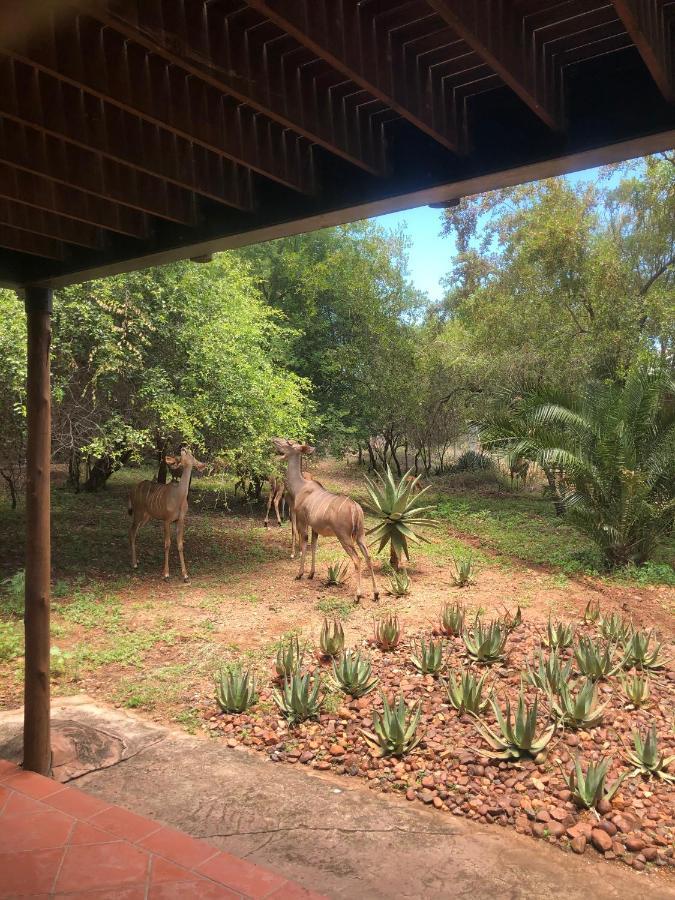 Kruger Private Lodge Marloth Park Zewnętrze zdjęcie