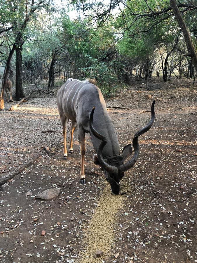 Kruger Private Lodge Marloth Park Zewnętrze zdjęcie